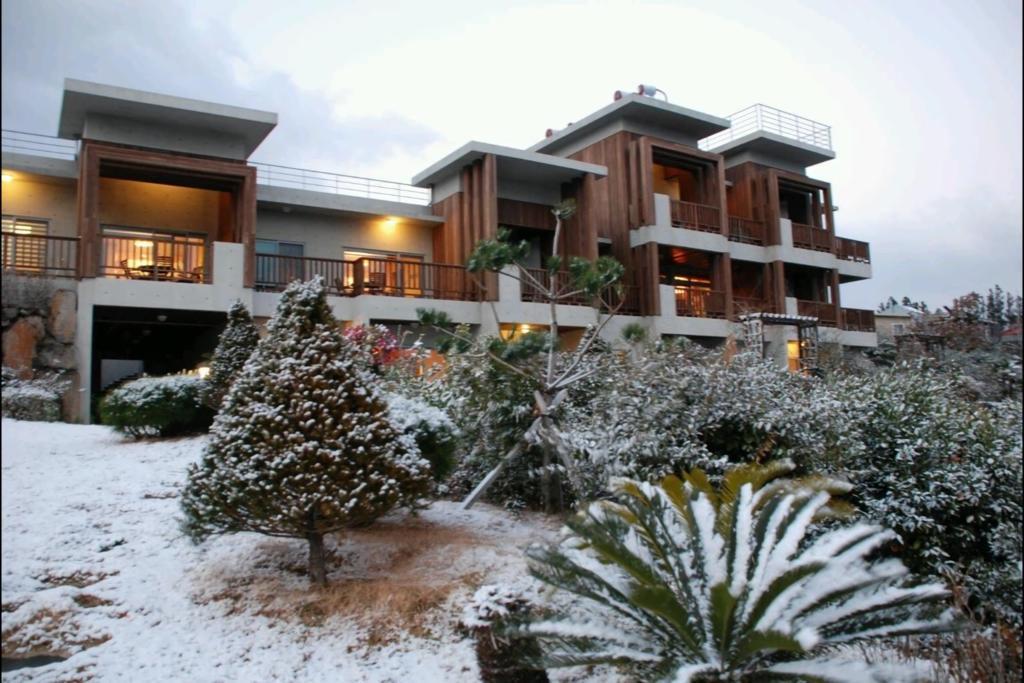 Jeju Eco Suites Seogwipo Exterior photo